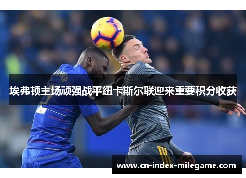 埃弗顿主场顽强战平纽卡斯尔联迎来重要积分收获 埃弗顿主场顽强战平纽卡斯尔联迎来重要积分收获